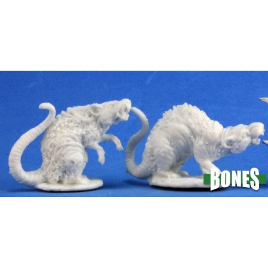 Barrow Rats (2) 07035