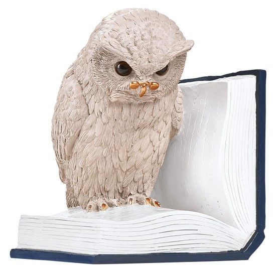 Boekensteun Uil Op Boek Boekensteun Uil Op Boek