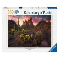 Cactus (500)