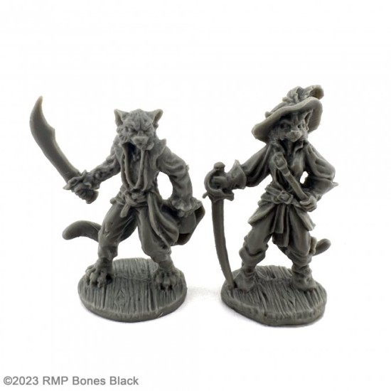 Catfolk Buccaneer And Duelist