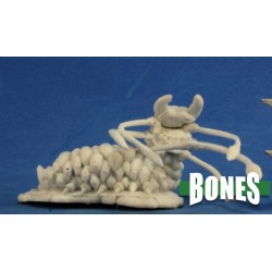 Charnel Grub