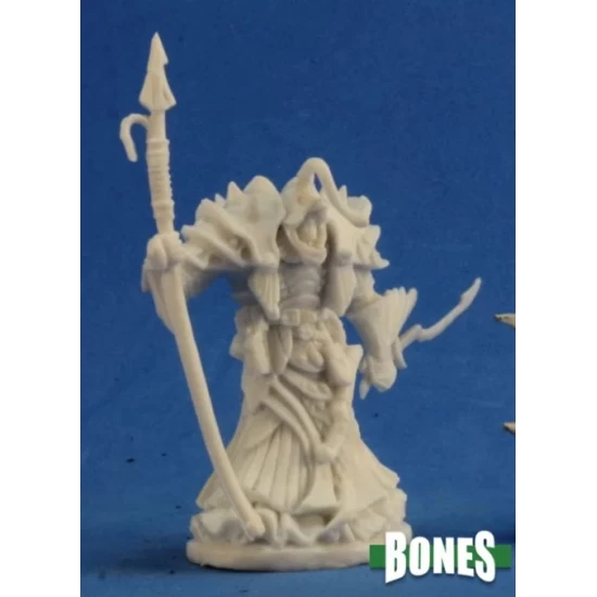 Cleric Evil Eregris