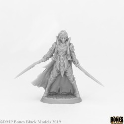 Drow Female Fighter Captain Drow Female Fighter Captain