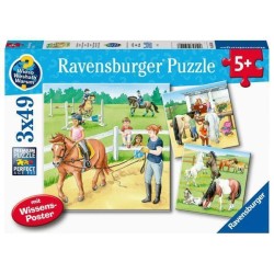 Een Dag Op De Manege 3X49St. Een Dag Op De Manege 3X49St.