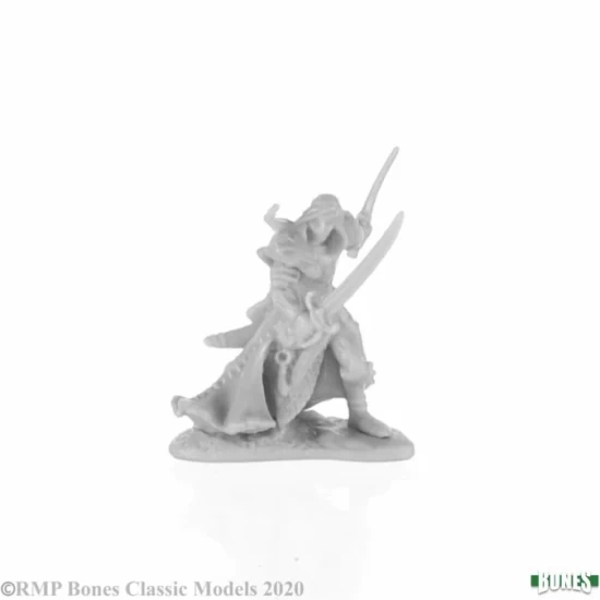 Elf Ranger Aravir