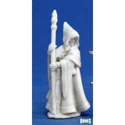 Elf Wizard Anirion Elf Wizard Anirion
