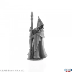 Elf Wizard Anirion (77068) Elf Wizard Anirion (77068)