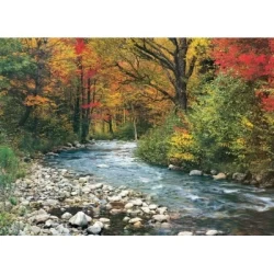 Forest Stream (1000)