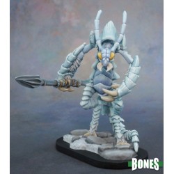 Frost Devil Frost Devil