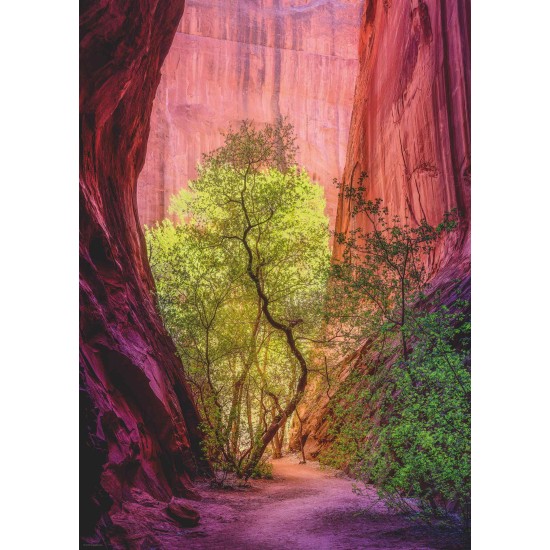 Puzze.singing Canyon 1000 Heye 29944