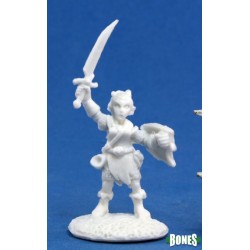 Gnome Bard Elliwyn Gnome Bard Elliwyn