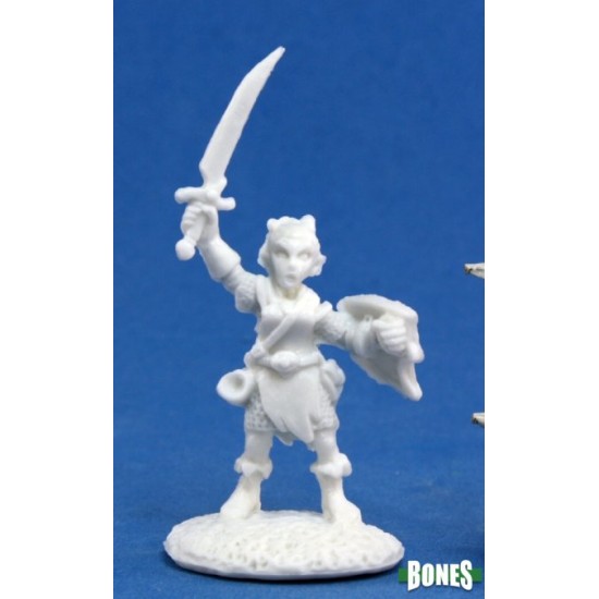 Gnome Bard Elliwyn