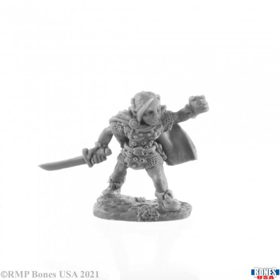 Gnome Rogue Ingrid (77167)