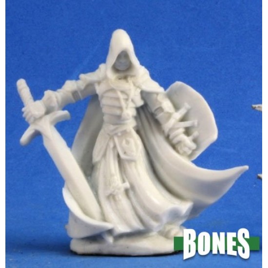 Half-Elf Paladin Sir Conlan