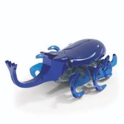Hex Bots™ Scarab/Rhino Beetle Hex Bots™ Scarab/Rhino Beetle