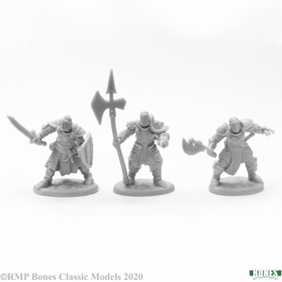 Human Fighter Knights