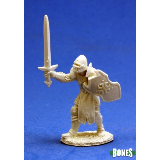 Human Paladin Garrick