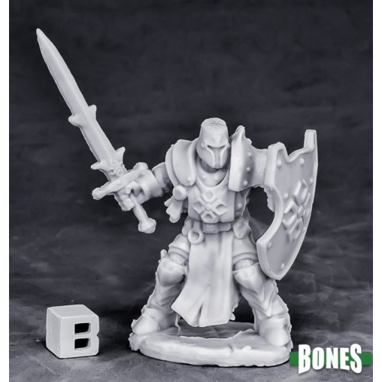 Human Paladin Swordsman