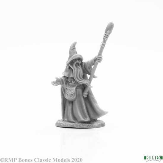Human Wizard Arakus