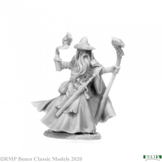 Human Wizard Kelainen
