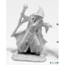 Human Wizard Lendil Human Wizard Lendil