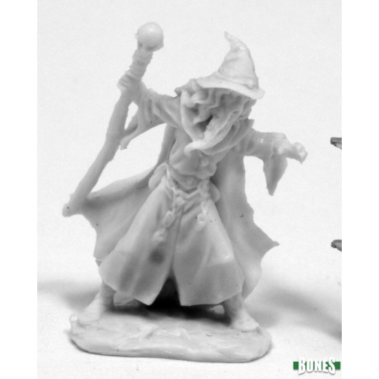 Human Wizard Lendil