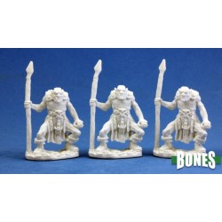 Orc Spearmen (3) Orc Spearmen (3)
