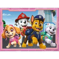 Paw Patrol (12+16+20+24)