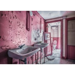 Pink Dreams (1000) Pink Dreams (1000)