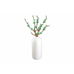 Pleyerid-Fontanesia 269Pcs Pleyerid-Fontanesia 269Pcs