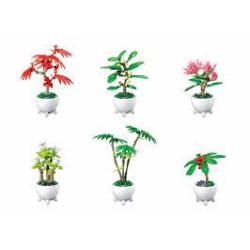 Potted Plants Potted Plants