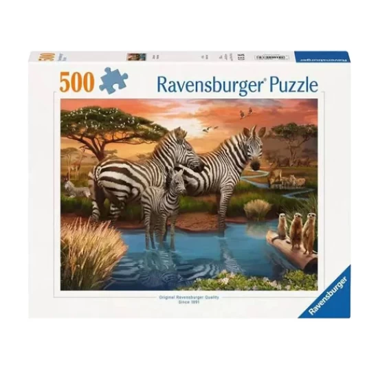 Zebra´s Bij De Drinkplaats (500)