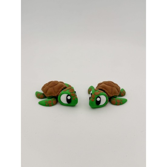 Sea Turtle