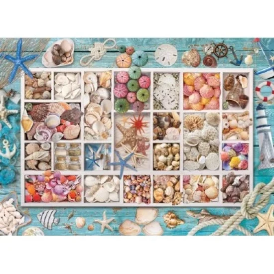 Seashell Collection (1000)