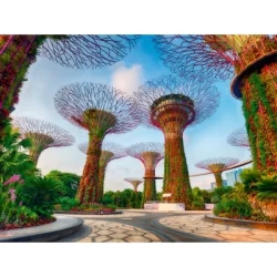 Singapore (1500) Singapore (1500)