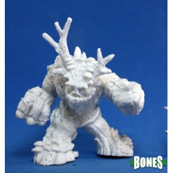 Spirit Of The Forest