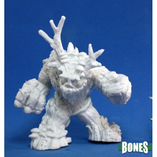 Spirit Of The Forest