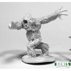 Yeti Warrior Yeti Warrior