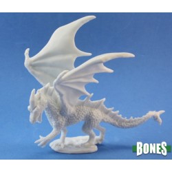 Young Fire Dragon Young Fire Dragon